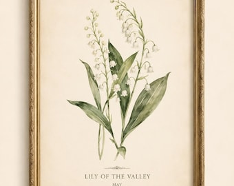 Könnte beinhalten: Ein gerahmter botanischer Druck mit einer Aquarellillustration von Maiglöckchen mit grünen Blättern auf cremefarbenem Hintergrund. Der Text "LILY OF THE VALLEY" und "MAY" ist unter den Blumen in einer dunklen Serifenschrift gedruckt.