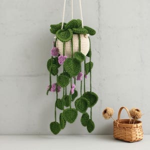 Peut inclure: Une plante suspendue crochetée dans un pot couleur crème avec de longues vignes vertes tombantes ornées de feuilles en forme de cœur et de petites fleurs violettes. La plante est suspendue par des cordons blancs et un petit panier en osier.
