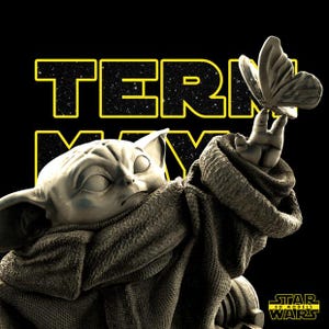 May include: A digital art image of a Yoda-like character with a butterfly resting on its finger. The character is wearing a brown robe, set against a black background with yellow text that reads "TERM MAY". The Star Wars 3D Models logo is in the bottom right.