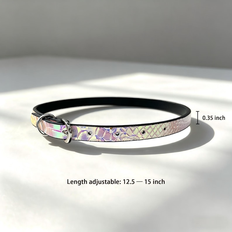 May include: A holographic dog collar with a black interior. The collar is 0.35 inches wide and adjustable from 12.5 to 15 inches in length. It features a silver metal ring and a pattern that resembles scales.
