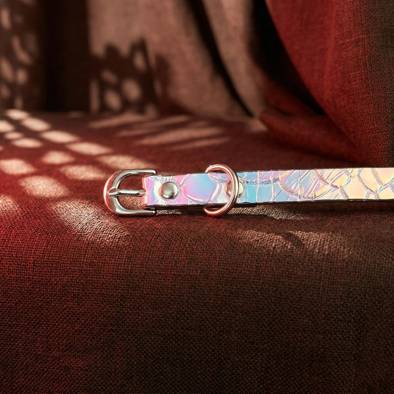 May include: Iridescent pet collar with a silver buckle and a rose gold-colored D-ring. The collar has a textured, scale-like pattern that reflects a rainbow of colors. The collar is designed for a small pet.