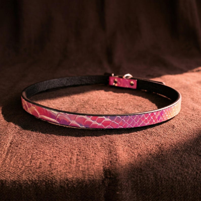 May include: A pink and purple iridescent collar with a black leather backing. The collar has a scale-like pattern and a silver-colored metal clasp. The collar is approximately 0.75 inches wide.