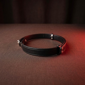 May include: A black leather collar featuring a smooth, matte finish with silver-toned metal hardware, including rivets and a buckle closure. The circular band is constructed with reinforced stitching along the edges and a central metal ring attachment.