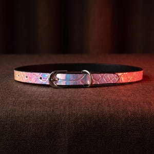 May include: A shimmering iridescent pet collar with a silver-colored buckle. The collar has a textured, scale-like pattern and a black interior. The collar is approximately 1 inch wide.