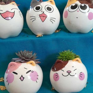 Leuke keramische kattenbak, art deco onregelmatige pot voor vetplanten of cactussen, handgemaakte plantenpot, thuiskantoor decor, cadeau voor kattenliefhebbers