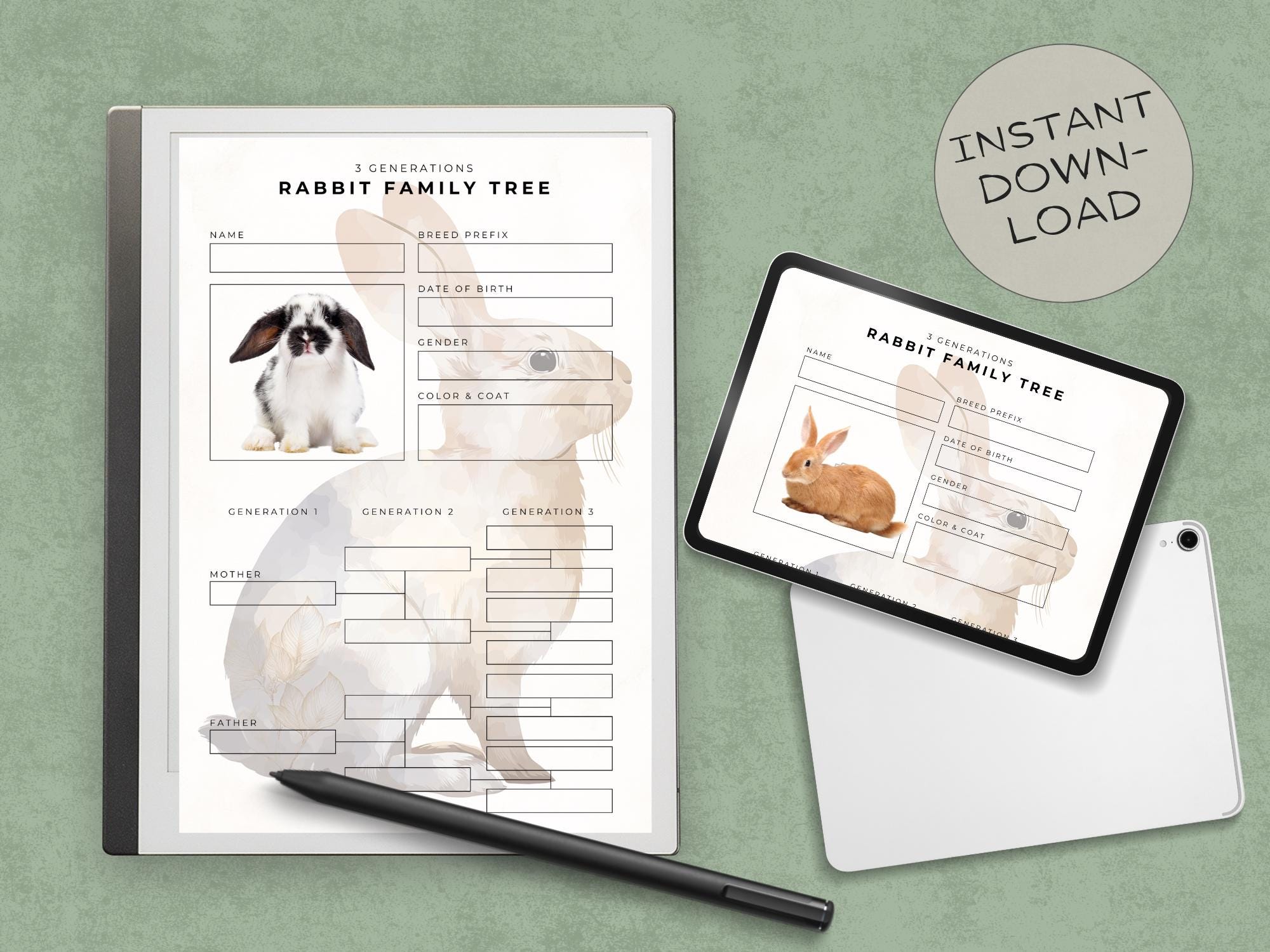 Rabbit Pedigree Chart: 3-generation Bunny Family Tree (printable PDF ...