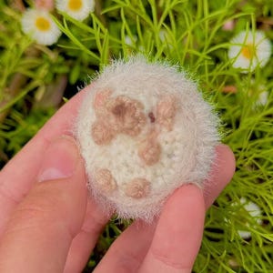 Virkat PDF-mönster för baby-igelkott med päls | Handledning för amigurumi av söt igelkott bild 8