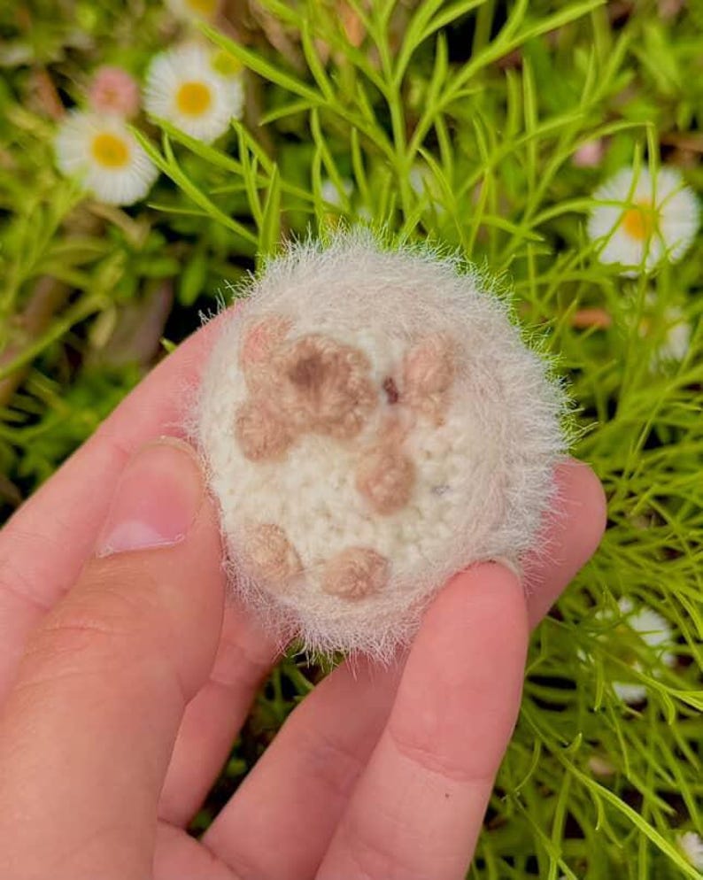 Virkat PDF-mönster för baby-igelkott med päls | Handledning för amigurumi av söt igelkott bild 8