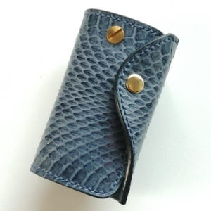 Leather Key case made by Water Python - Fits House Keys & Car smart key