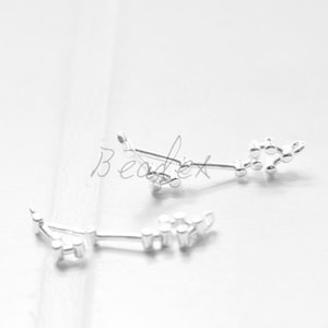 2 Pieces / Zodiac / Pisces/ Silver Plated / Real Silver / Brass Base / Charm (C1159//G825)