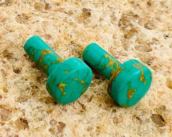 May include: Two turquoise-colored, cylindrical beads with rounded ends and gold-colored veining. The beads are displayed on a textured, light brown surface. The beads have a smooth, polished appearance.