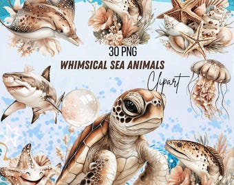 Whimsical Sea Animals Clipart Bundle – Ocean Animal PNG, Turtle Dolphin Shark, Coastal Boho Sublimation, Beach Illustration, 30 PNG Files