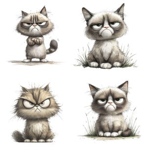 Grumpy Cat PNG Clipart Bundle, Grumpy Pet Animal, Grumpy & Quirky Silly Cat, Grumpy Baby Animals, Nursery Decor, Digital Instant Downl image 4