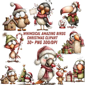 Op de afbeelding: Een verzameling grillige kerst-vogel clipart illustraties. De afbeeldingen tonen vogels met kerstmutsen en sjaals, die cadeaus vasthouden en interageren met kerstversieringen. De tekst in de afbeelding luidt "Whimsical Amazing Birds Christmas Clipart 30+ PNG 300/DPI."