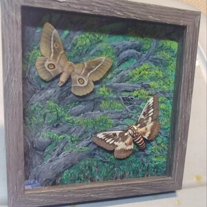 May include: A framed artwork featuring two detailed moth sculptures set against a painted forest backdrop. The moths have brown and cream-colored wings with intricate patterns. The frame is a neutral gray color, enhancing the artwork's natural theme.
