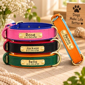 May include: A stack of three leather dog collars in pink, black, and dark green, with an orange collar standing upright. Each collar features a gold-toned metal nameplate engraved with a name and phone number: Rose, Jackson, Bella, and Penny.