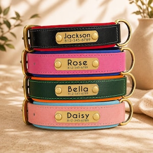 May include: A stack of four pet collars in black, pink, dark green, and light pink, each featuring a brass-toned metal nameplate engraved with a name and the phone number 812-345-6789. The collars have brass-toned buckles and D-rings.