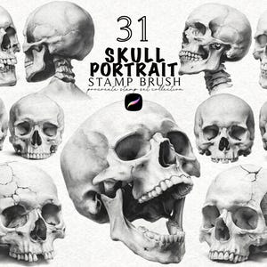 Pode incluir: Uma coleção de retratos de caveiras em tons de cinza, apresentados em vários ângulos e poses. A imagem inclui o texto "31 SKULL PORTRAIT STAMP BRUSH" e um logotipo da coleção de carimbos Procreate. As caveiras são detalhadas e realistas.
