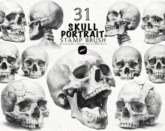 Skull Portrait Procreate Stamp Brush Set Realistic Human Skull Anatomy Tattoo Flash Brushes Bundle Realistic Tattoo Design Procreate Tattoo