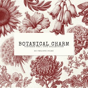 May include: A selection of vintage botanical illustrations in red tones, featuring a sunflower, hibiscus, and dandelion. The text "BOTANICAL CHARM" is on a white rectangle, with "VINTAGE PNG / SVG COLLECTION" beneath it.