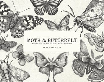 Vlinder Svg nachtvlinder Clipart Png insect Svg bundel vlinder Clipart Png nachtvlinder Svg Cricut Vintage vlinder illustratie