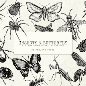 Puede incluir: Una colección de ilustraciones en tinta negra y blanca con varios insectos y mariposas, incluyendo arañas, escarabajos, una mantis y abejas. El texto central dice INSECTS & BUTTERFLY VINTAGE PNG/SVG SET COLLECTION 32 PNG/SVG FILES.