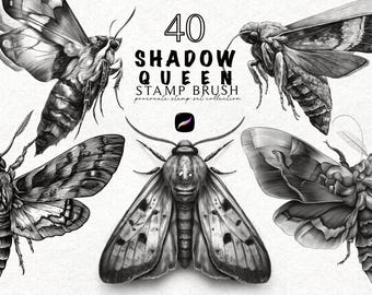 Mot Voortplantingsstempel Dierentatoeage Voortplantingsstempel Voortplantingspenselen Realistische tattoo-ontwerpborstelbundel Voortplanting tattoo-ontwerpenborstel