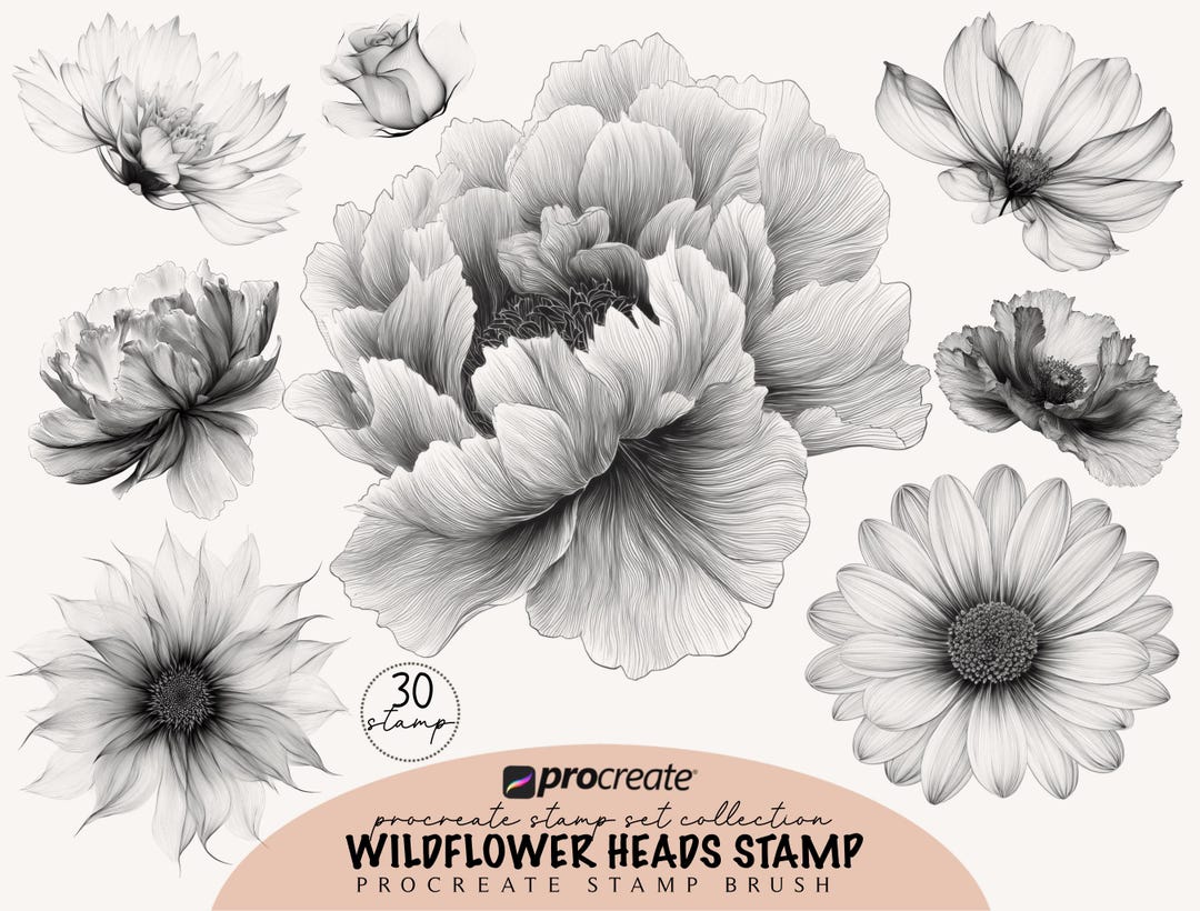 Floral Procreate Stamps: Botanical Flower Brushes (digital Download) - Etsy