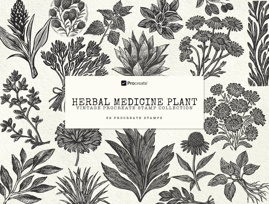 Botanical Procreate Stamps Herbal Brush Bundle Vintage Flower Brushes ...