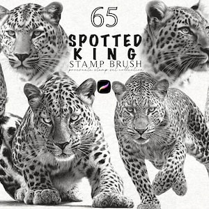 Pode incluir: Arte digital em preto e branco com várias ilustrações de leopardos. O texto "65 SPOTTED KING STAMP BRUSH" é exibido acima das imagens de leopardos. As imagens fazem parte de uma coleção de carimbos Procreate.