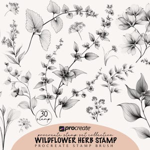 Puede incluir: Un conjunto de 30 pinceles de sellos de flores silvestres y hierbas en escala de grises para Procreate. La imagen presenta ilustraciones botánicas detalladas de varias flores, hojas y tallos, ideales para arte digital. El texto dice "Wildflower Herb Stamp".