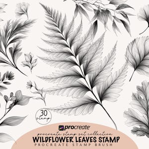 May include: A collection of grayscale botanical illustrations featuring various leaf and floral designs. The image includes detailed drawings of ferns, ginkgo leaves, and other foliage, with the text "Wildflower Leaves Stamp" and "Procreate Stamp Brush".