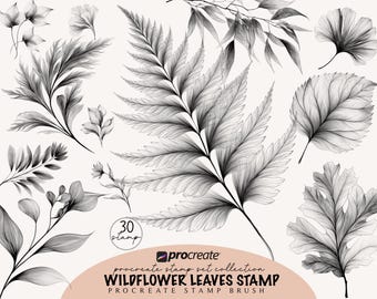 Bladeren Procreate-stempel Botanische penselen Flash-tatoeageborstelset Procreate-tatoeageborstelset Fijne lijn tattoo-voortplantingbundels Digitale borstel