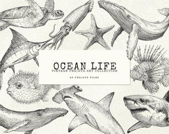 Oceaan dier clipart PNG SVG bundel Vintage zeeleven illustratie vis walvishaai zeedieren Tattoo Flash SVG