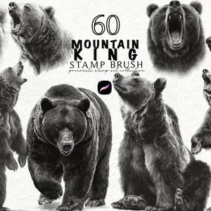 Op de afbeelding: Een verzameling zwart-wit illustraties van beren in verschillende poses, waaronder staand, brullend en close-up headshots. De tekst "60 MOUNTAIN KING STAMP BRUSH" wordt bovenaan weergegeven.
