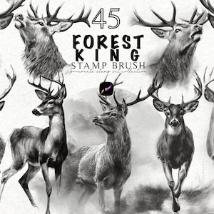 Pode incluir: Uma imagem a preto e branco com 45 ilustrações de veados, que vão desde retratos detalhados a poses de corpo inteiro. O texto "FOREST KING STAMP BRUSH" é exibido acima das imagens de veados, com o número "45" no topo.