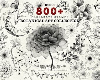 Botanische tattoo-ontwerpen, borstel voortplanten, borstel voortplanten, borstel, stempelborstels, bloementattoo, bloemenstempel, bloem voortplanten Borsteltattoo