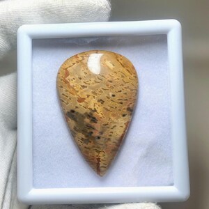 May include: A polished, teardrop-shaped gemstone with a unique pattern of tan, brown, and black hues. The stone is displayed within a white, square frame, showcasing its natural textures and colors. The gemstone is likely used for jewelry or decorative purposes.