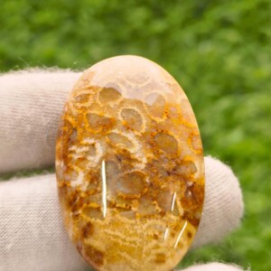 May include: An oval gemstone displaying a distinctive pattern of tan, brown, and cream hues. The polished surface reveals a fossil-like texture, with intricate details and colour variations. The gemstone is held against a green background.