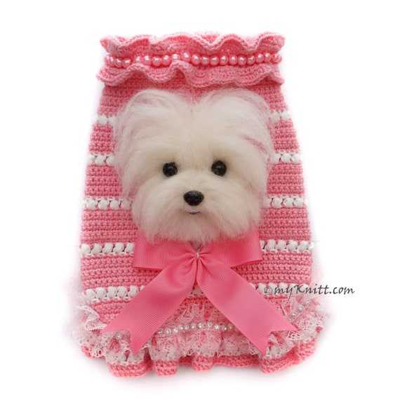 maltese dog clothes