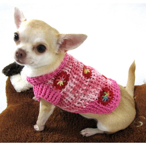 Ropa rosa Chihuahua suéter de perro grande - Etsy España