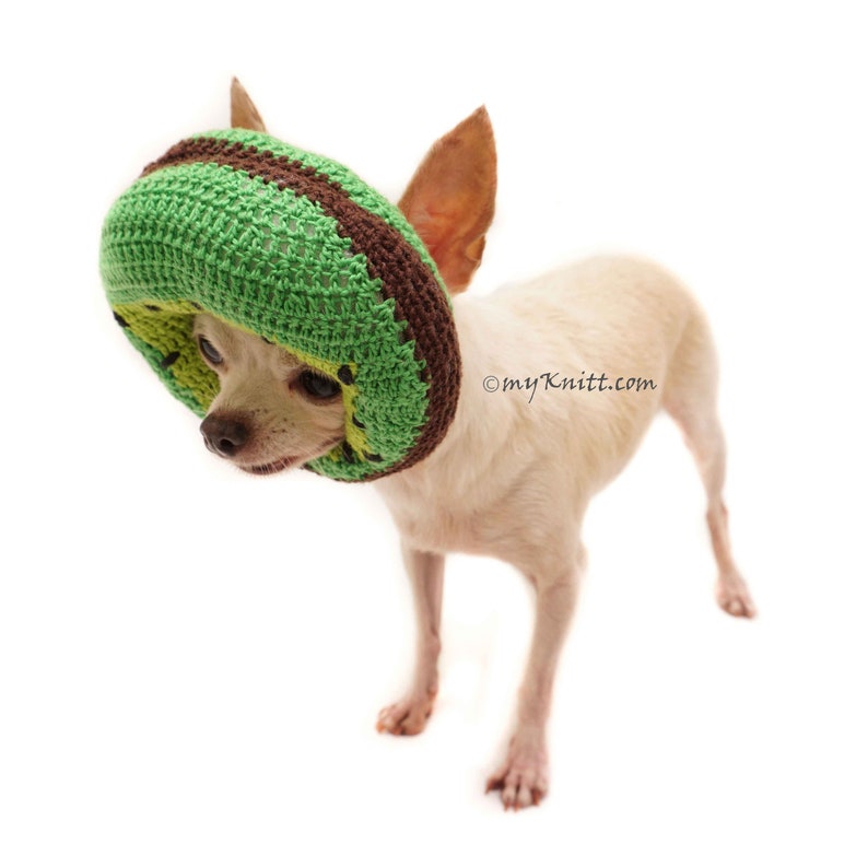 Kiwi Dog Hat Crochet Kiwi Costume Crochet Dog Hat Costume Etsy