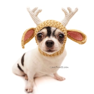 Funny Dog Hat Crochet, Crochet Amigurumi Animal Reindeer, Chihuahua Hat, Cat Hat, Dog Beanie, Puppy Hat Beanie, DB6 by Myknitt Free Shipping