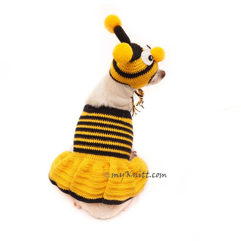 Bee Dog Costume Halloween Dog Costume Bee Crochet Dog Hats Etsy