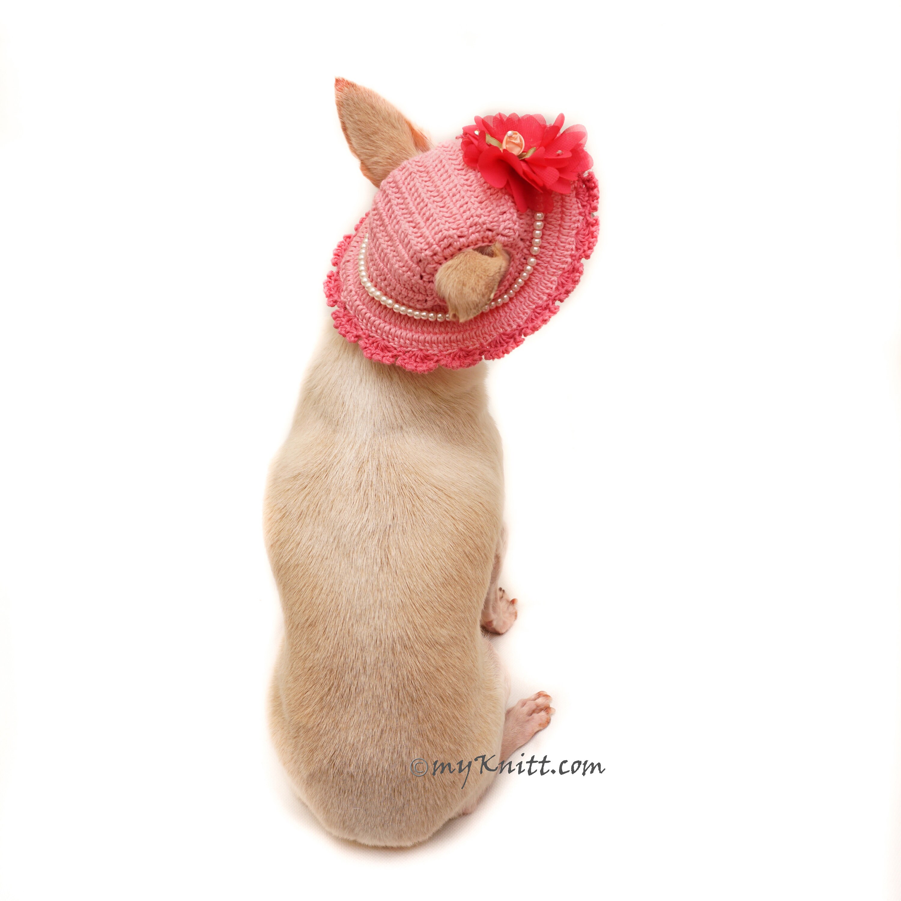 Pink Dog Sun Hat Summer With Flowers 