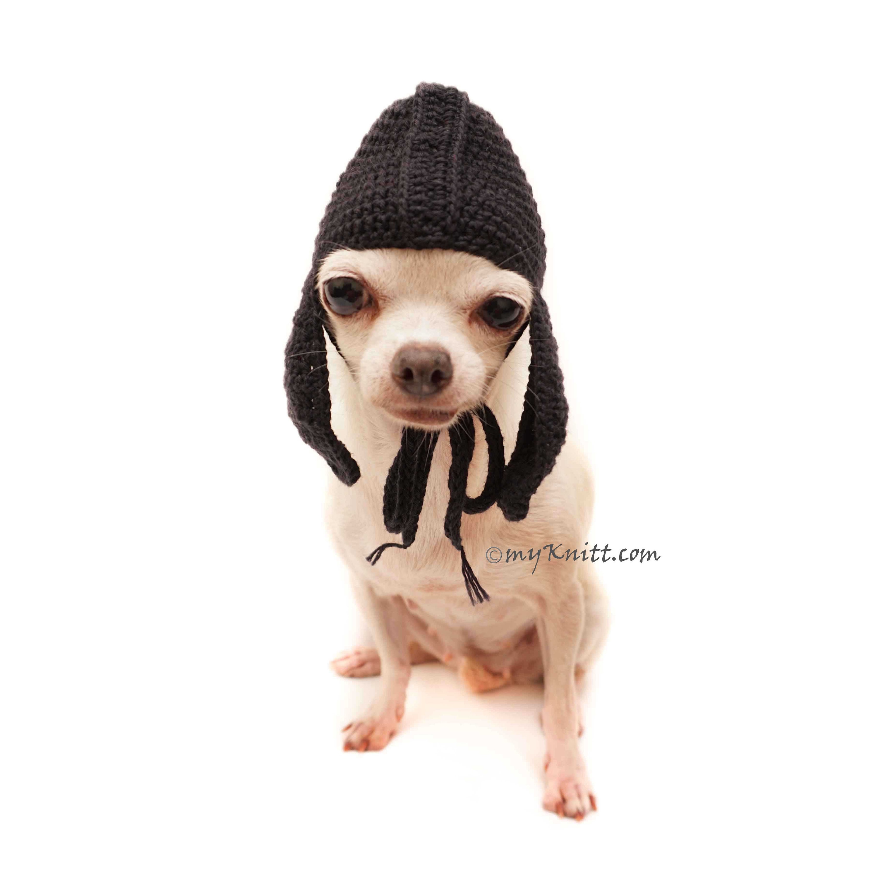 Black Dog Hat Cat Hat Custom Dog Hat 