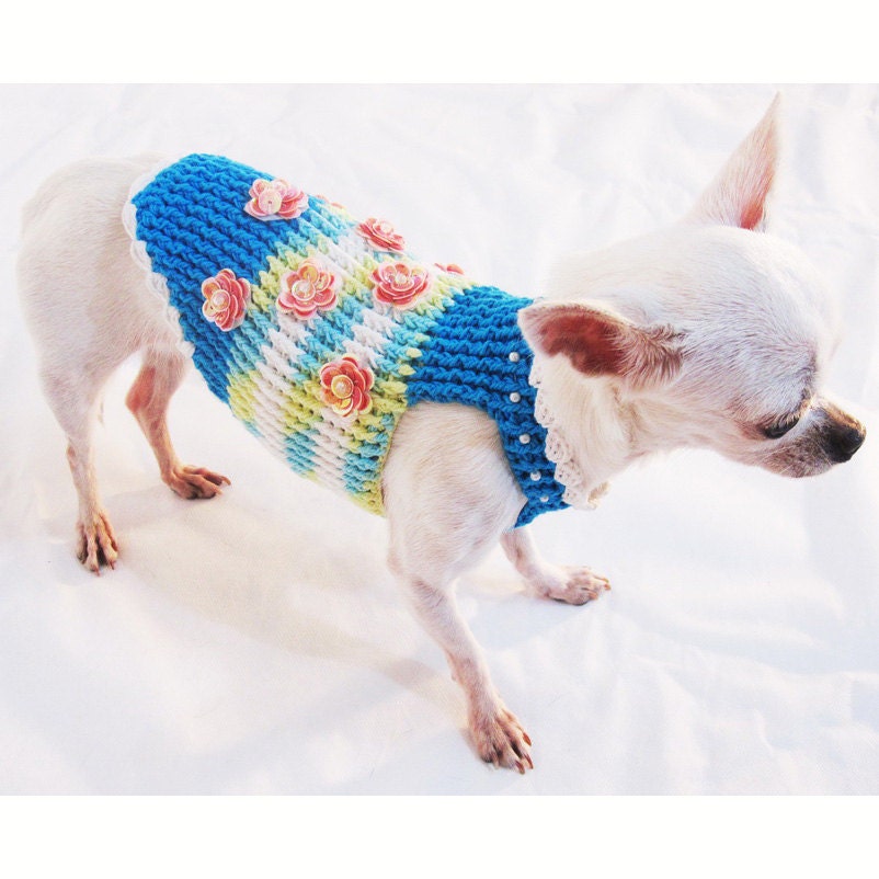 Harnais pour chien bleu confortable, harnais Chihuahua tricot Unique, sans  starter, petit chien, grand chien, collier et laisse pour Myknitt DF24  livraison gratuite -  France