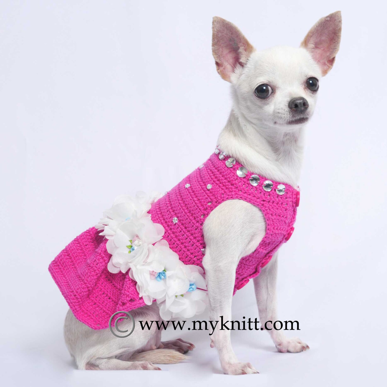 Holly Jolly Bloom Dog Dress