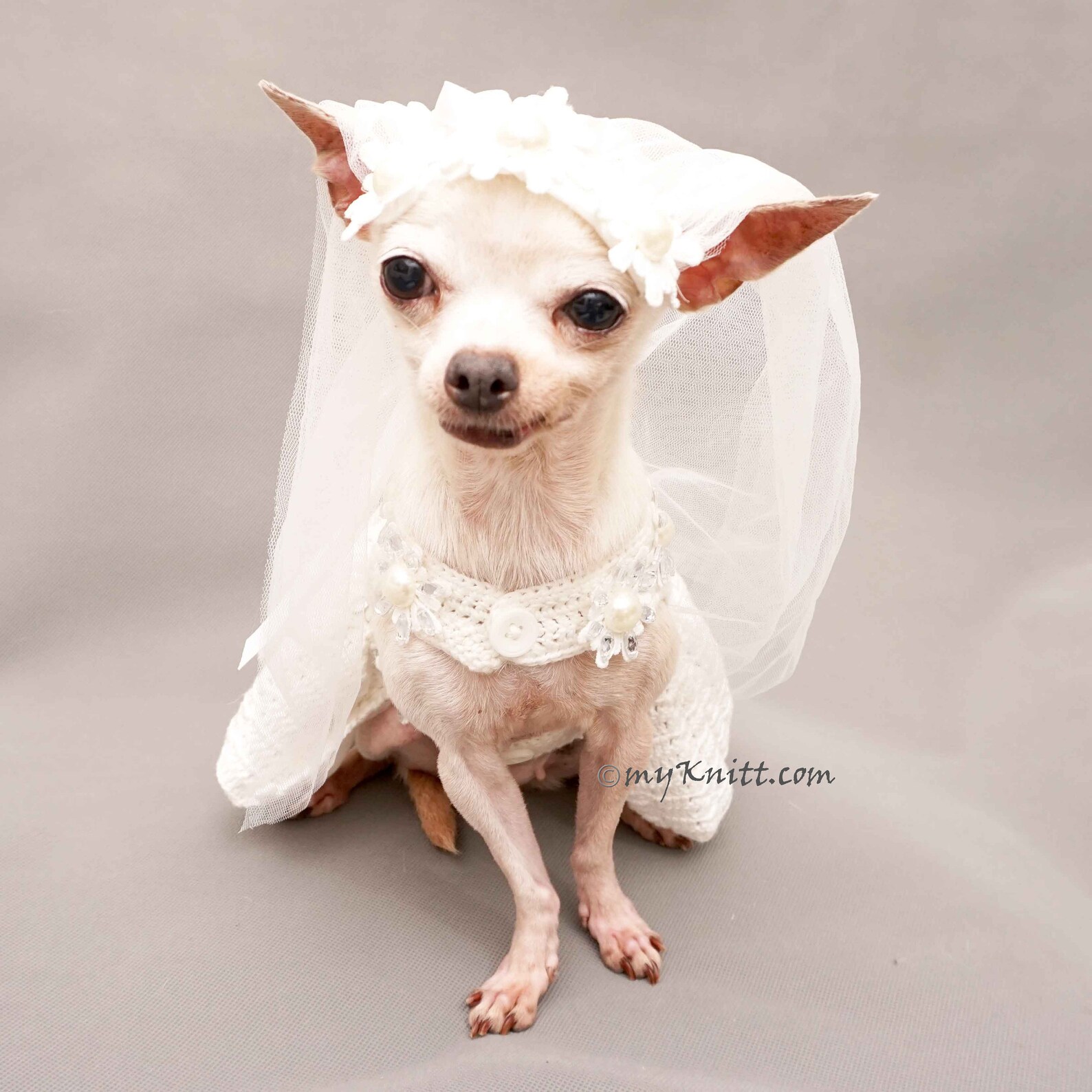 Dog Dress Wedding White Dog Wedding Headpiece Veil Etsy
