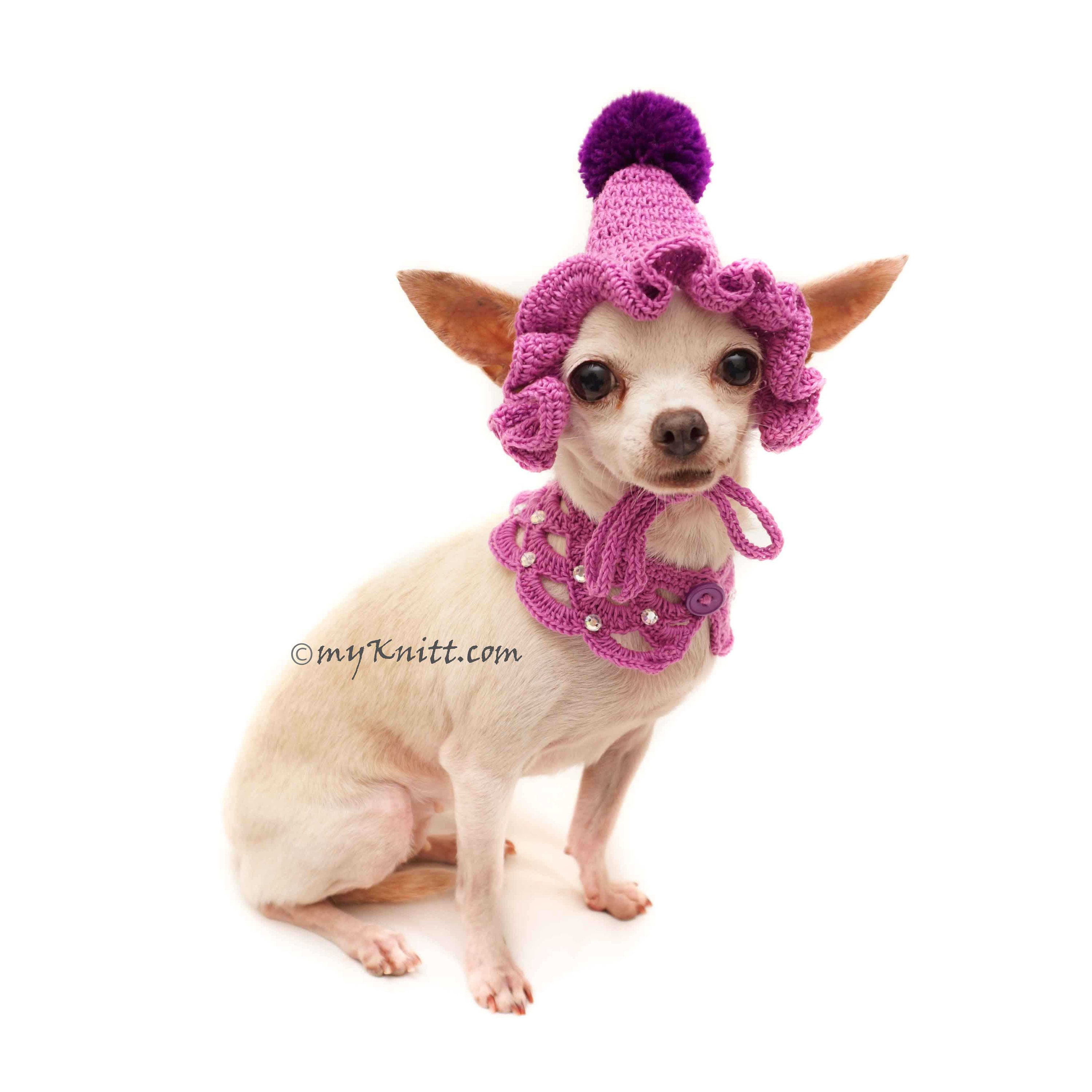 Purple Dog Scarf Crochet Dog Beanie with Pom Pom Purple Dog | Etsy